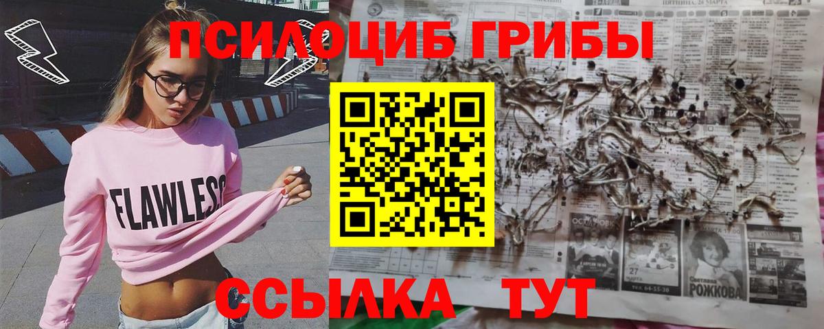 Галлюциногенные грибы ЛСД  Псилоцибиновые грибы Psilocybe  Вход с VPN  Таганрог 